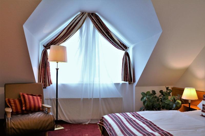 Hotel Neckarlux - Oda