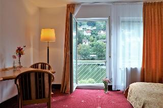 Hotel Neckarlux fotoÄŸrafÄ±