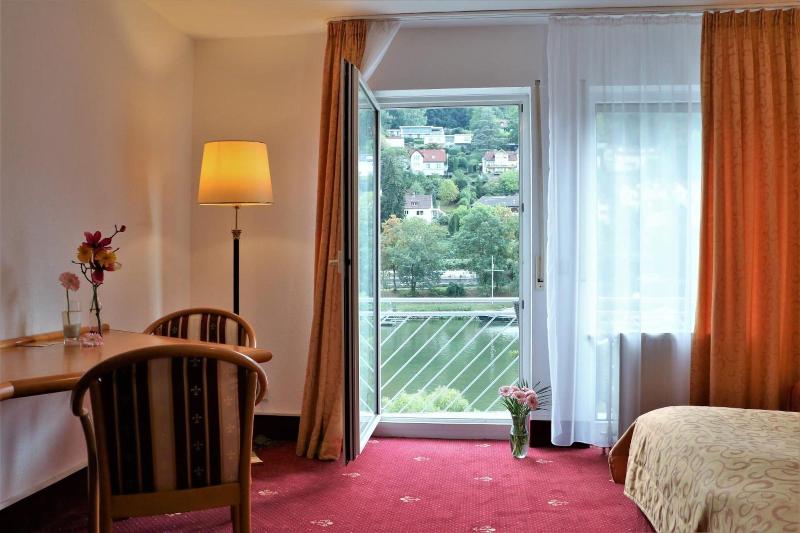 Hotel Neckarlux - Oda