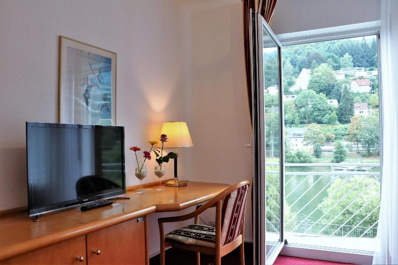 Hotel Neckarlux - Oda