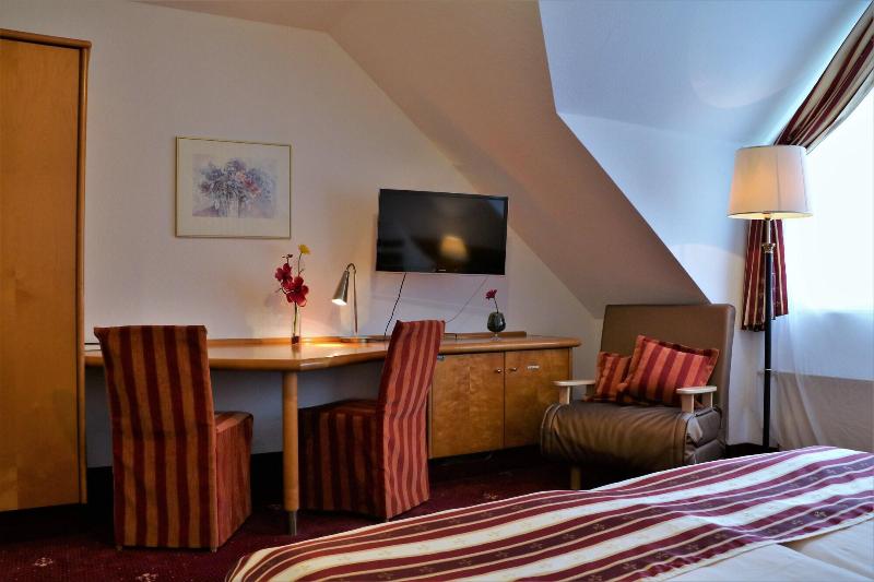Hotel Neckarlux - Oda