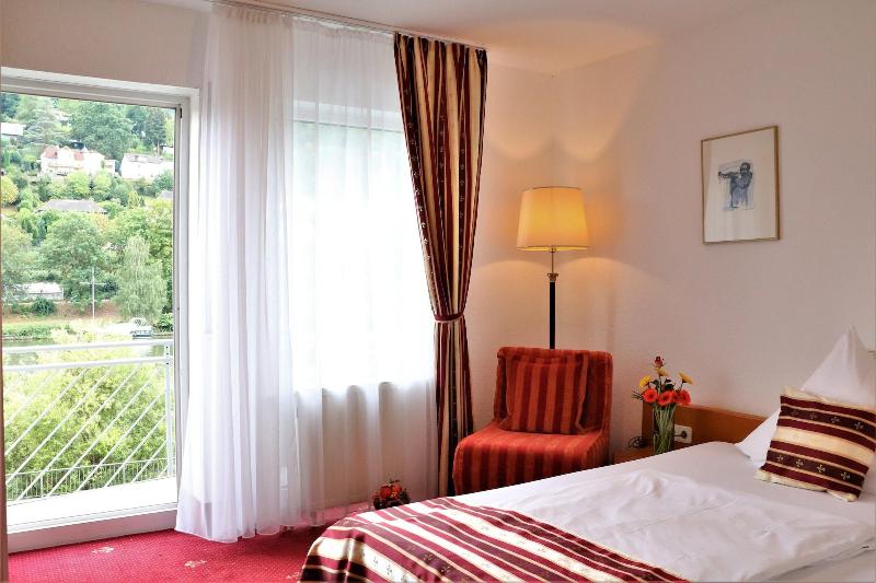 Hotel Neckarlux - Oda