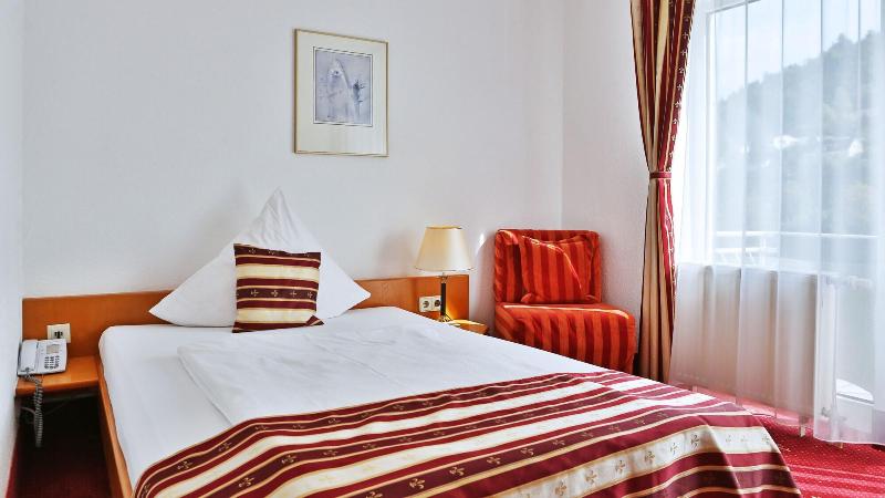 Hotel Neckarlux - Oda
