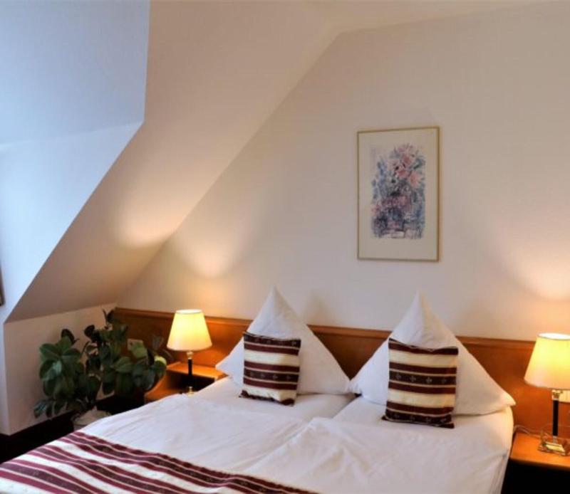 Hotel Neckarlux - Oda