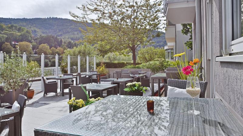 Hotel Neckarlux - Teras