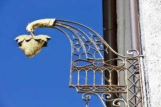 Hotel Goldene Traube fotoÄŸrafÄ±