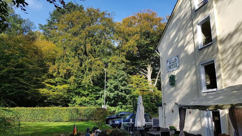 Wald Hotel - Genel