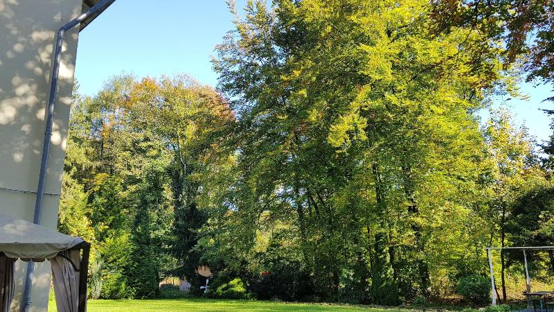 Wald Hotel - Oda
