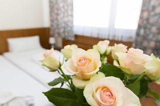 Hotel Spreewitz Am Kurfa Rstendamm fotoÄŸrafÄ±