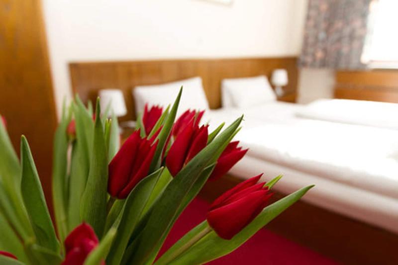 Hotel Spreewitz Am Kurfa Rstendamm - Oda