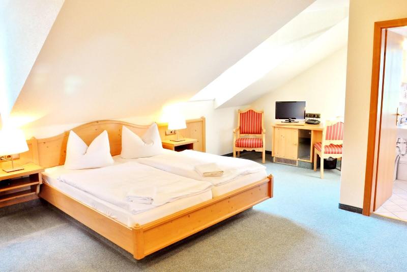 Hotel Alttolkewitzer Hof Dresden - Oda
