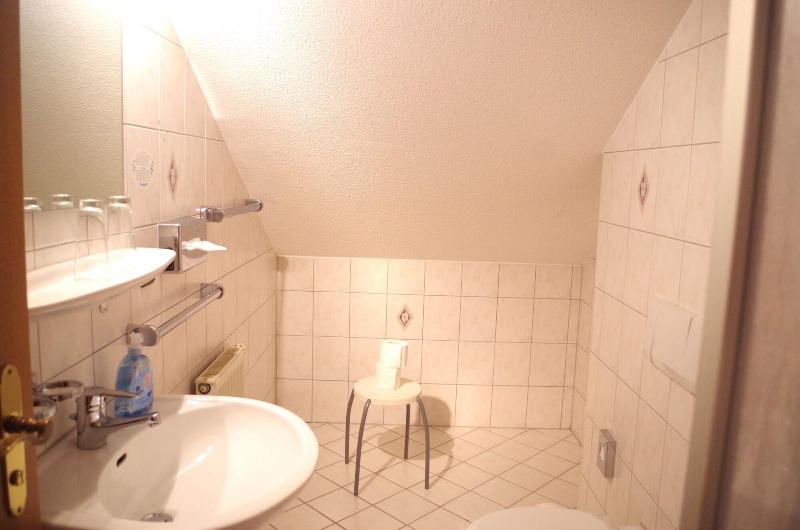 Hotel Alttolkewitzer Hof Dresden - Oda