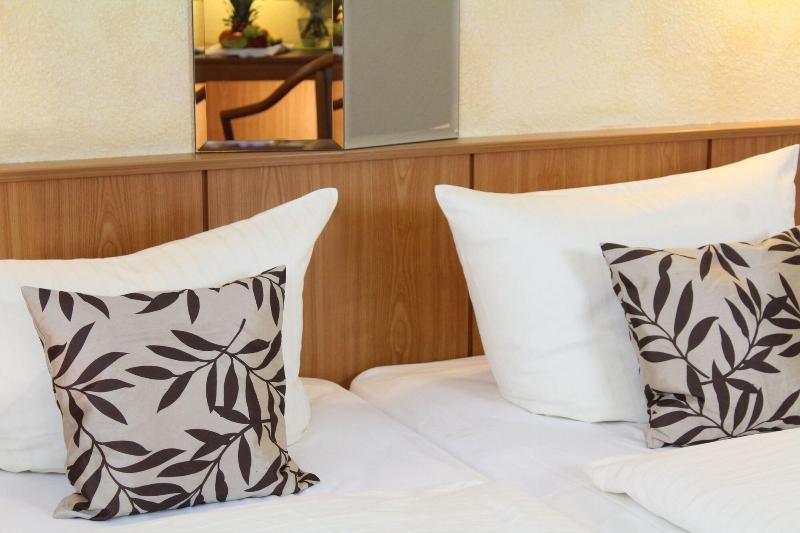 Hotel Weisser Schwan - Oda