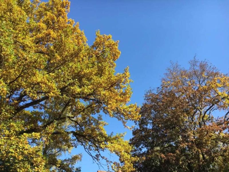 Das Kleine Hotel Weimar - Aktivite