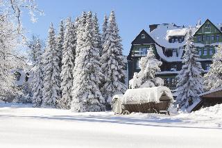 Berg Spa Hotel Gabelbach fotoÄŸrafÄ±