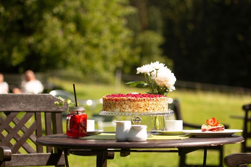 Berg Spa Hotel Gabelbach - Restoran