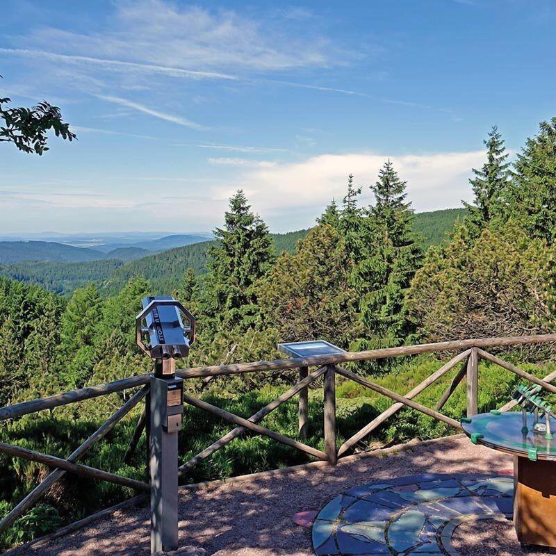 Hotel Tha Ringenschanze - Genel
