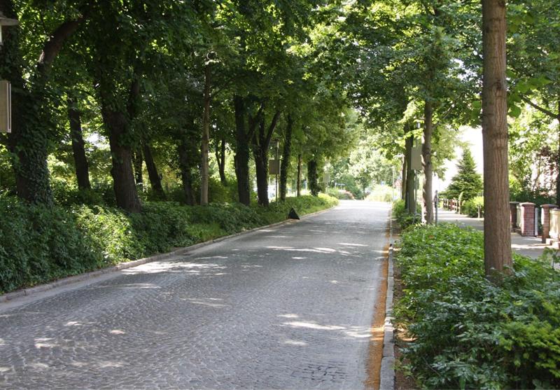 Parkhotel Senftenberg - Genel