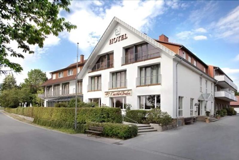 Landidyll Hotel Gasthof Zum Freden - Genel