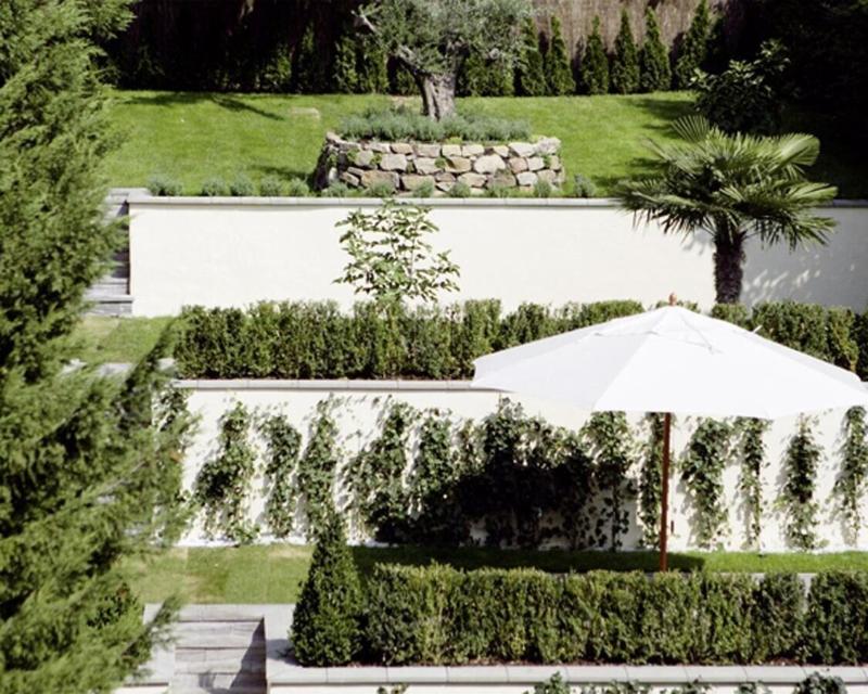 Hotel De France - Genel