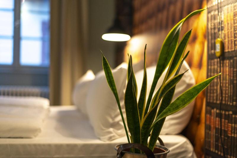 Hotel Zur Alten Bra Cke - Lobi