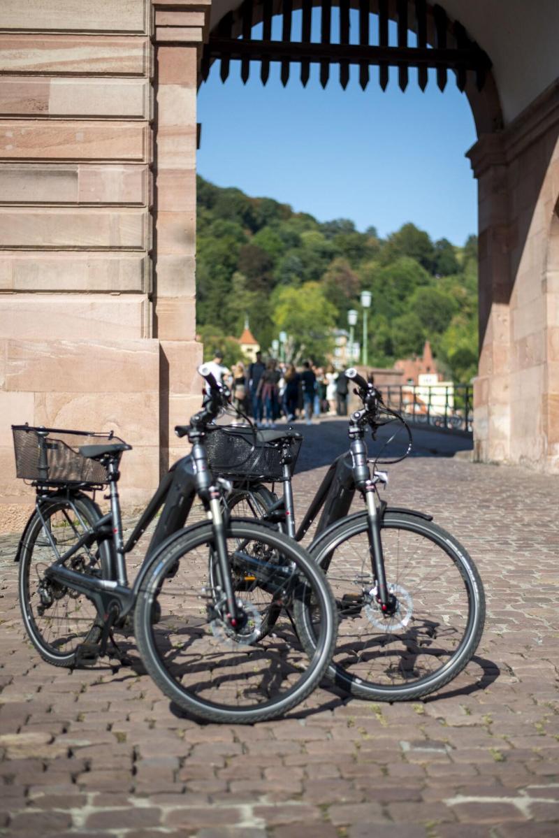 Hotel Zur Alten Bra Cke - Aktivite