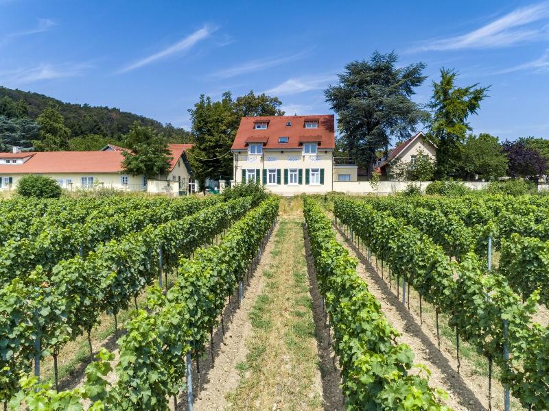 Halbersbacher Hotel Annaberg - Genel