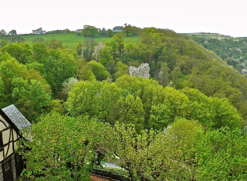 Burghotel Auf Scha Nburg - Oda