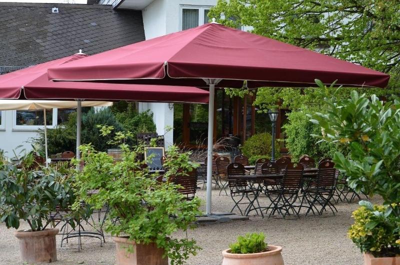 Landidyll Hotel Restaurant Birkenhof - Teras