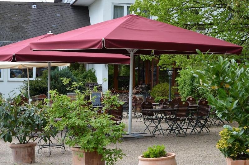 Landidyll Hotel Restaurant Birkenhof - Teras
