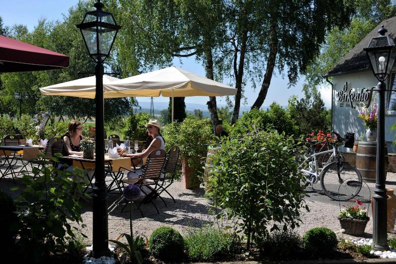 Landidyll Hotel Restaurant Birkenhof - Teras