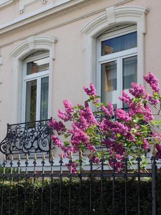Hotel Beethoven fotoÄŸrafÄ±