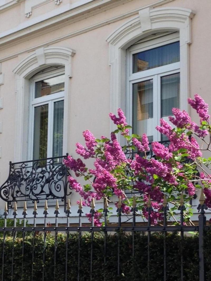 Hotel Beethoven - Genel