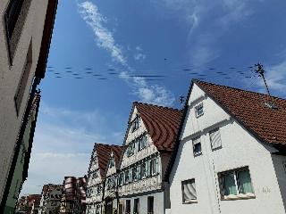 Historikhotel Ochsen fotoÄŸrafÄ±