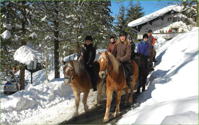 Hotel Garni Haus Alpine - Genel