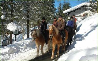 Hotel Garni Haus Alpine fotoÄŸrafÄ±