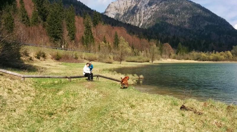Alpenhotel Wittelsbach - Oda