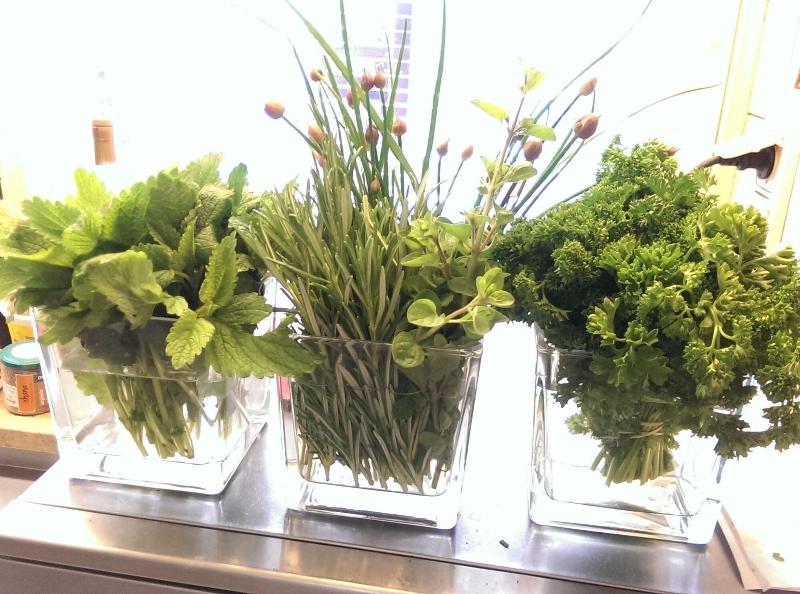Wildkra Uterhotel - Lobi