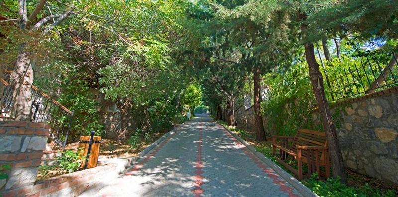 Perdikia Hill Family Resort - Genel