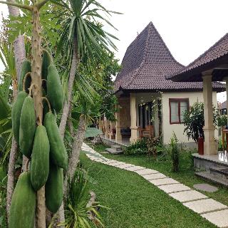 Masia Villa Ubud fotoÄŸrafÄ±
