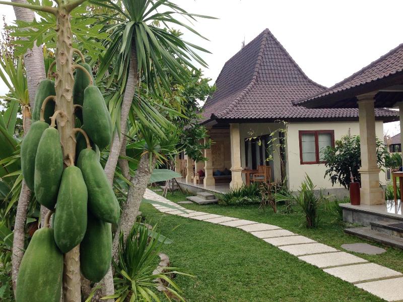 Masia Villa Ubud - Aktivite