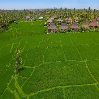 Masia Villa Ubud fotoÄŸrafÄ±