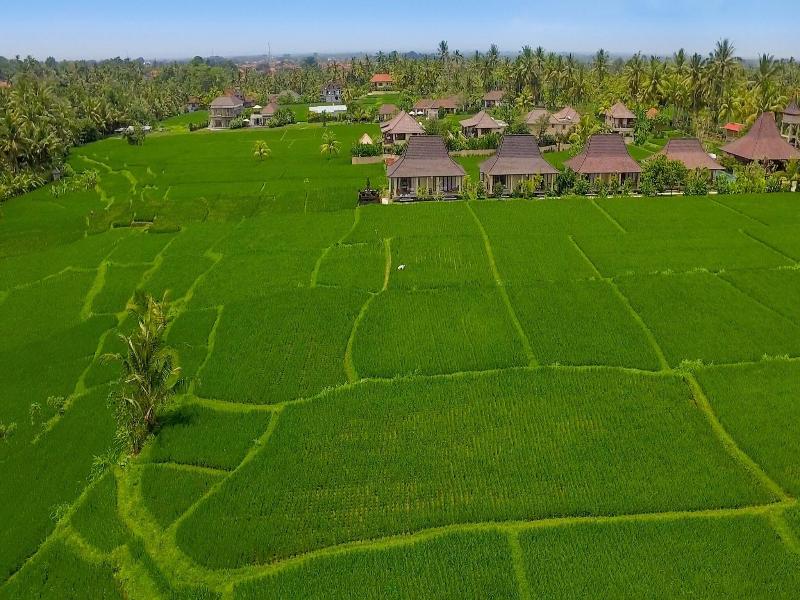 Masia Villa Ubud - Genel