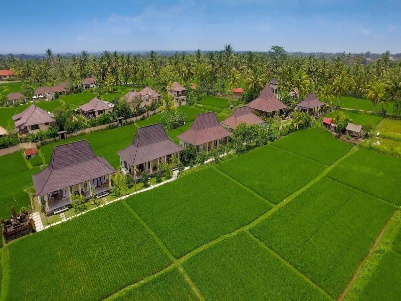 Masia Villa Ubud - Genel