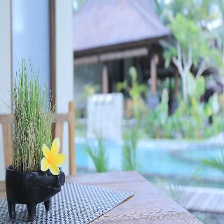 Masia Villa Ubud fotoÄŸrafÄ±