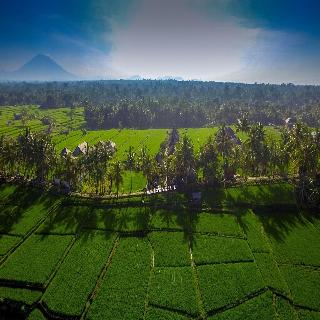 Masia Villa Ubud fotoÄŸrafÄ±
