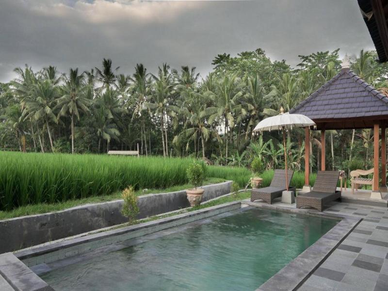 Masia Villa Ubud - Havuz