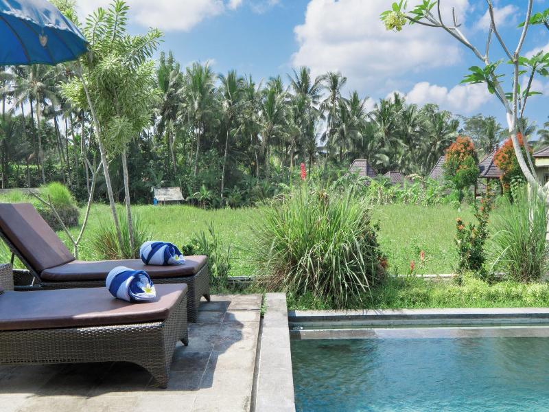 Masia Villa Ubud - Havuz