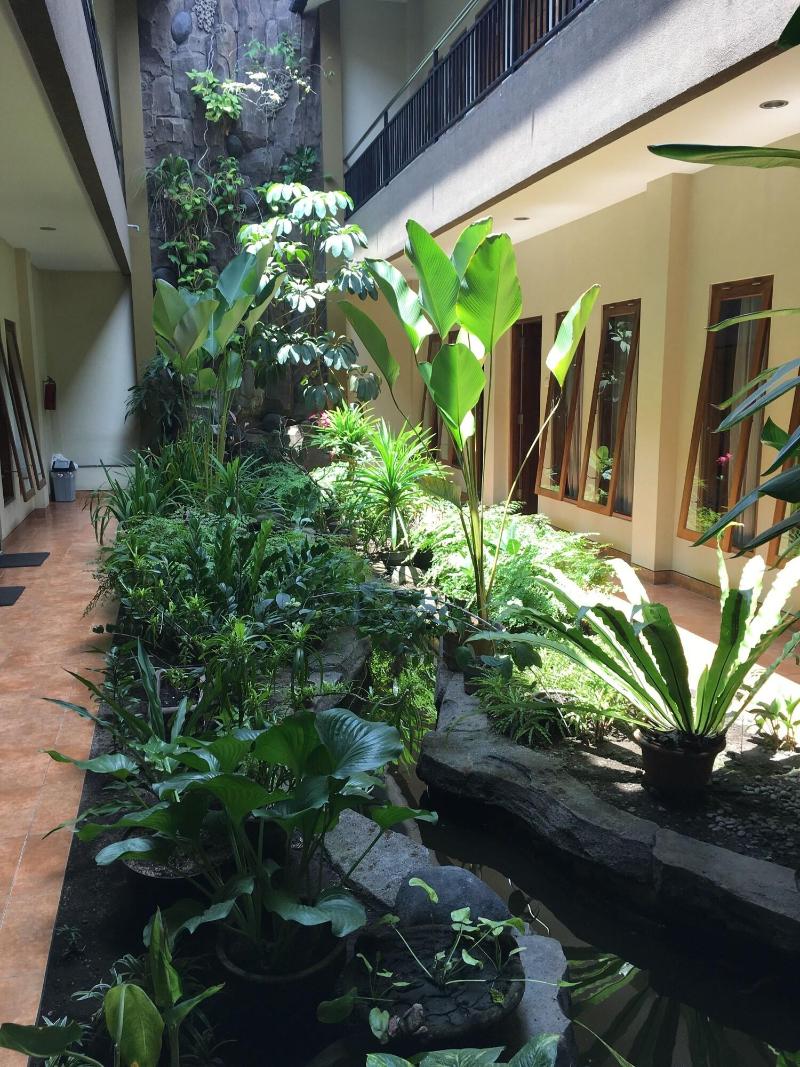 Aloha Hotel - Genel