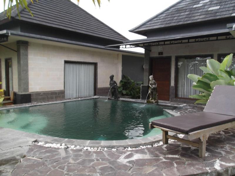 Villa Jj And Spa Ubud - Aktivite